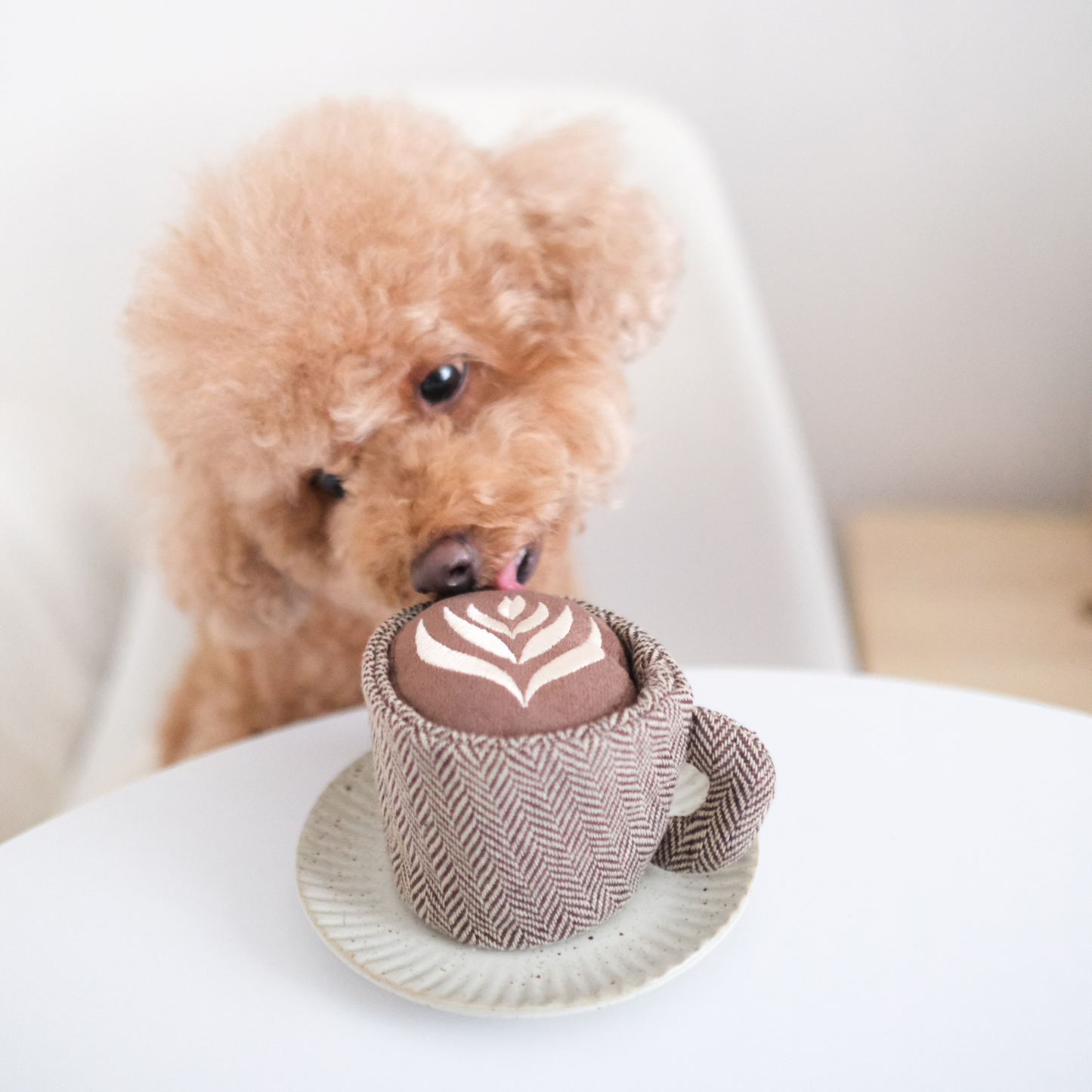 ENSEMBLE DE JOUETS POUR LATTE POP/ ENRICHISSEMENT/JOUET À PRISER