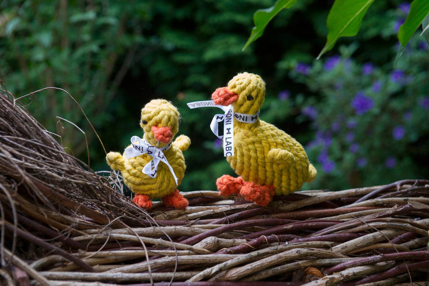 Canard en corde