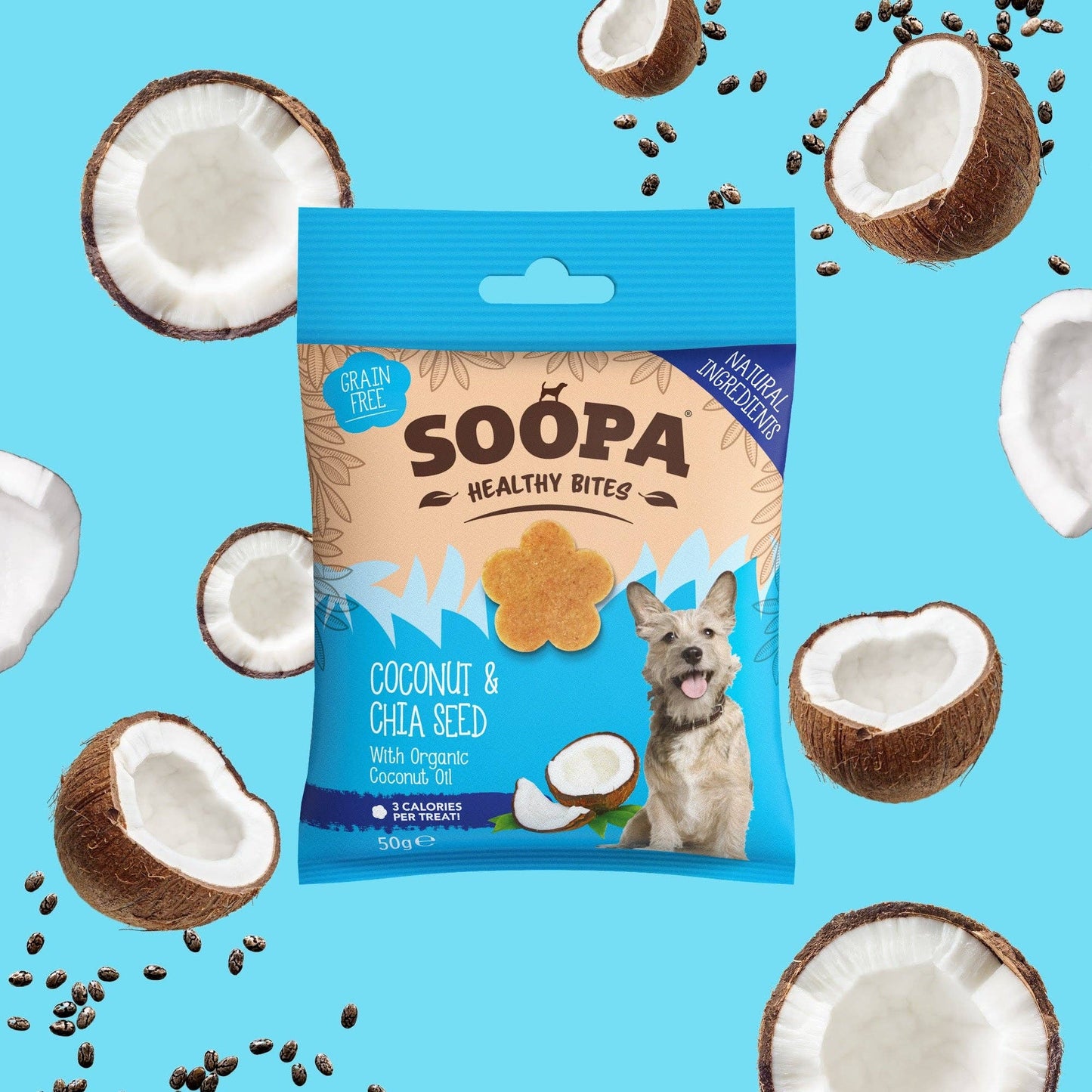 Friandises à la noix de coco et aux graines de chia