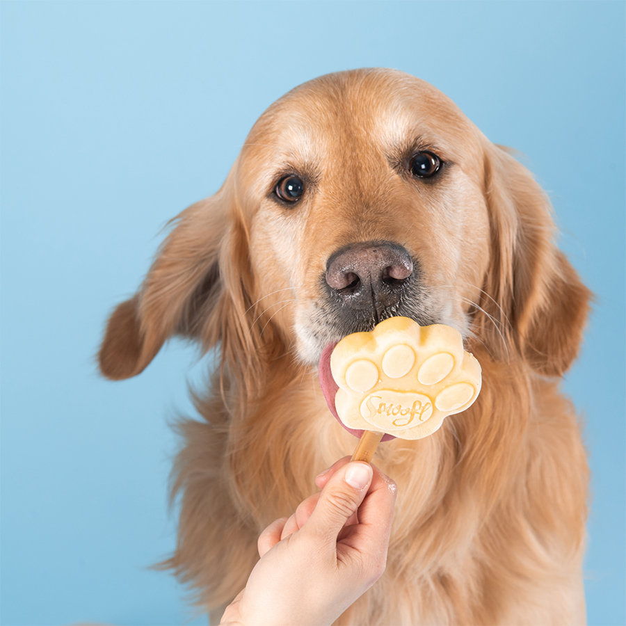 Mélange beurre de cacahuète pour glaces pour chiens