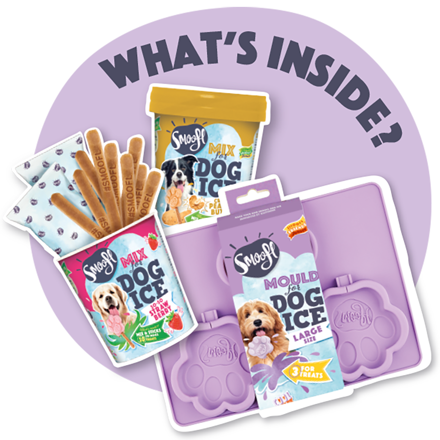 Kit de démarrage grand format pour glace pour chien