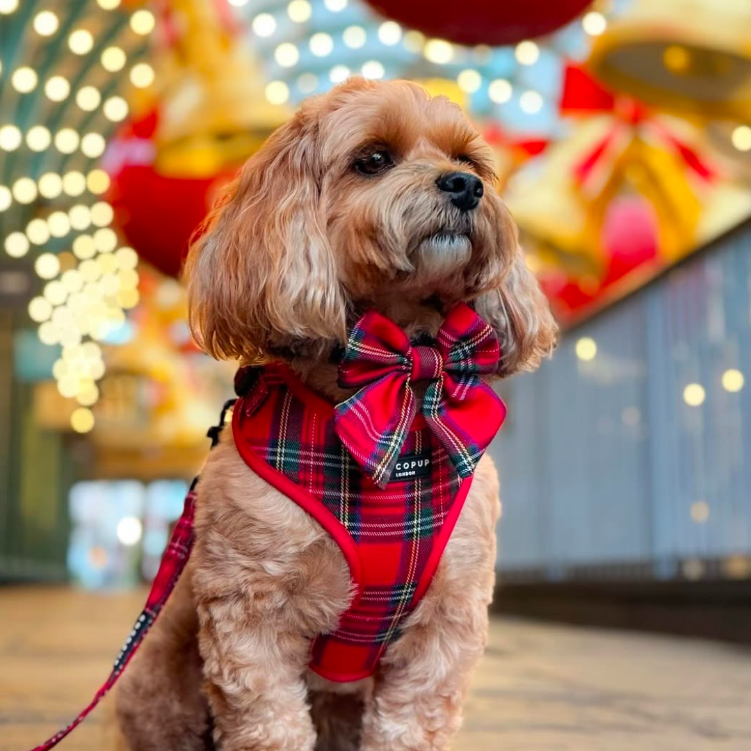 Nœud papillon Tartan Sailor