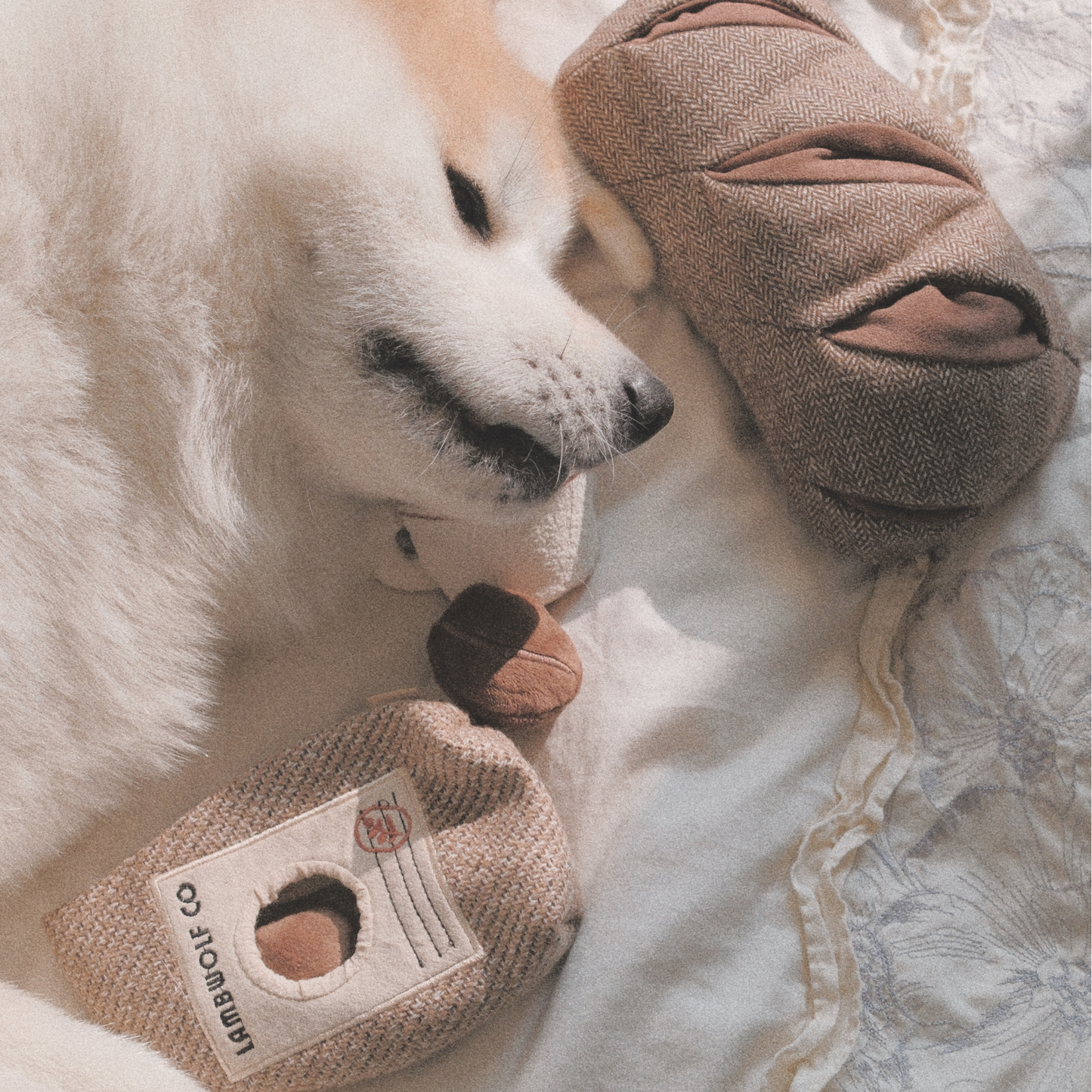 Peluche Grains de café