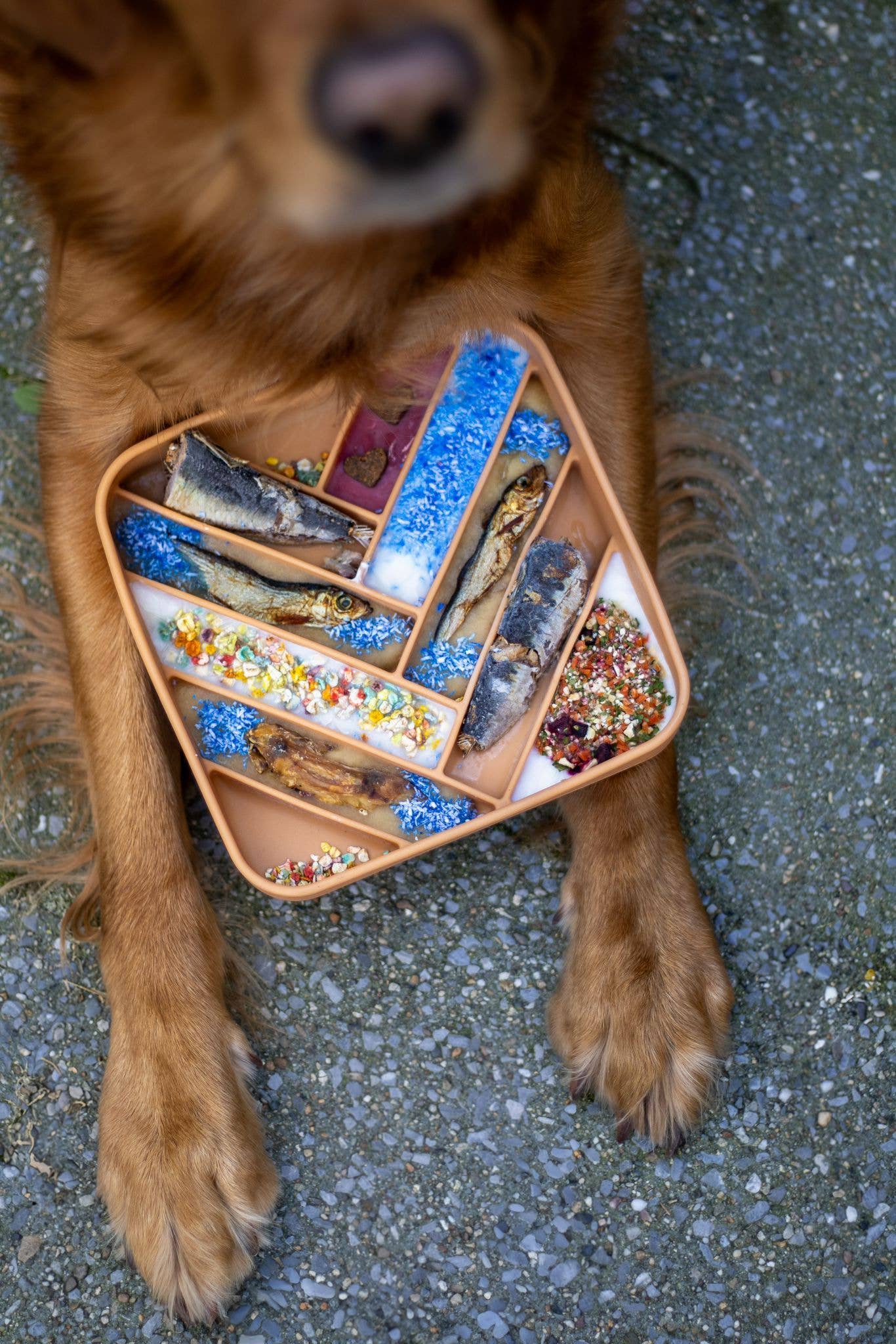 Poussière de Sirène - Garniture de Repas pour Chats et Chiens