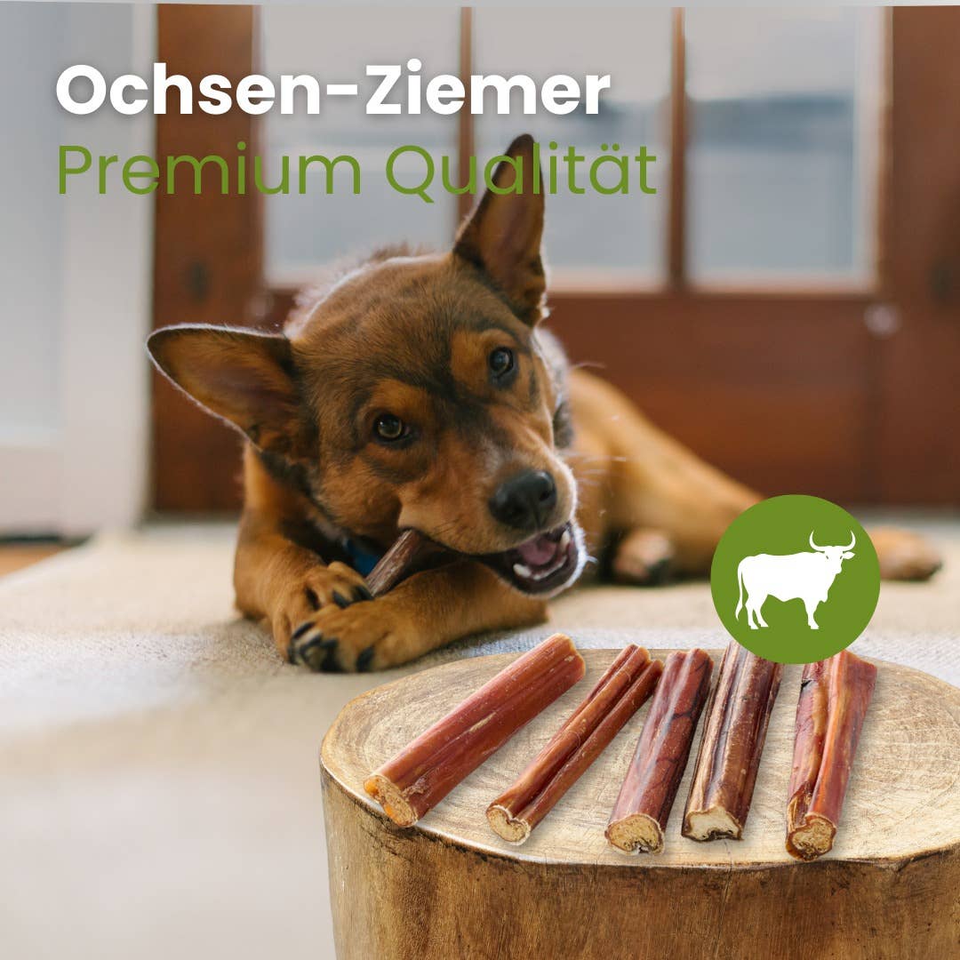 Tendon de bœuf premium