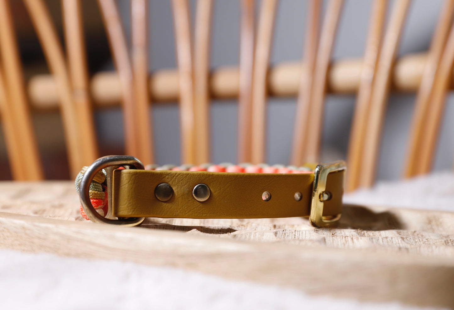Collier biothane-paracorde