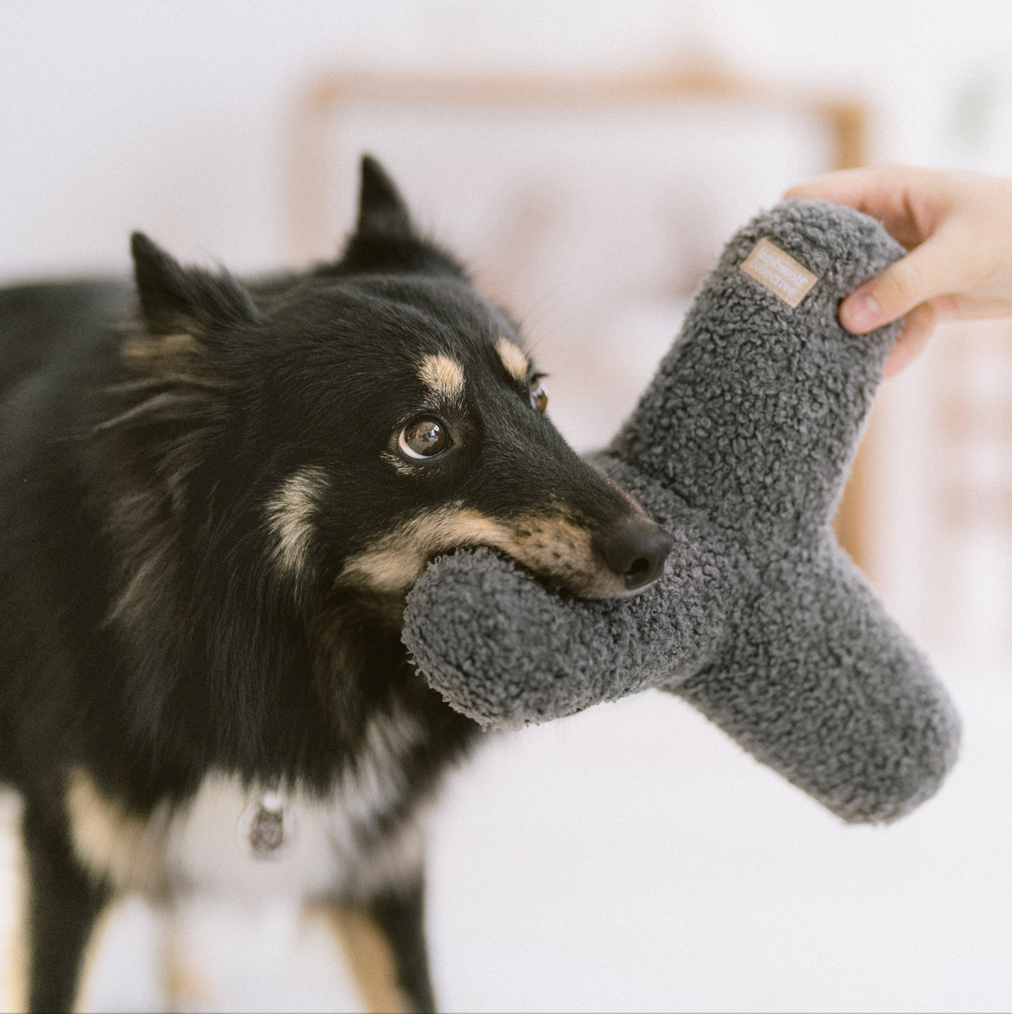 O BREUER | JOUET SURDIMENSIONNÉ POUR CHIEN: Neige