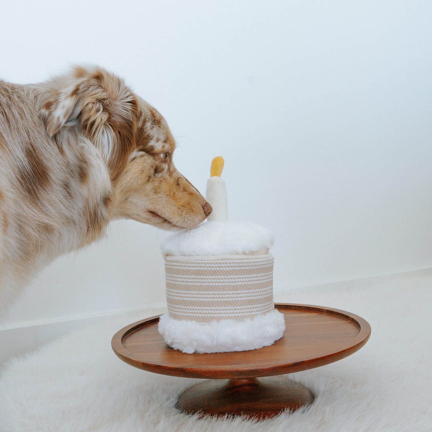 Gâteau d'anniversaire // Jouet à creuser
