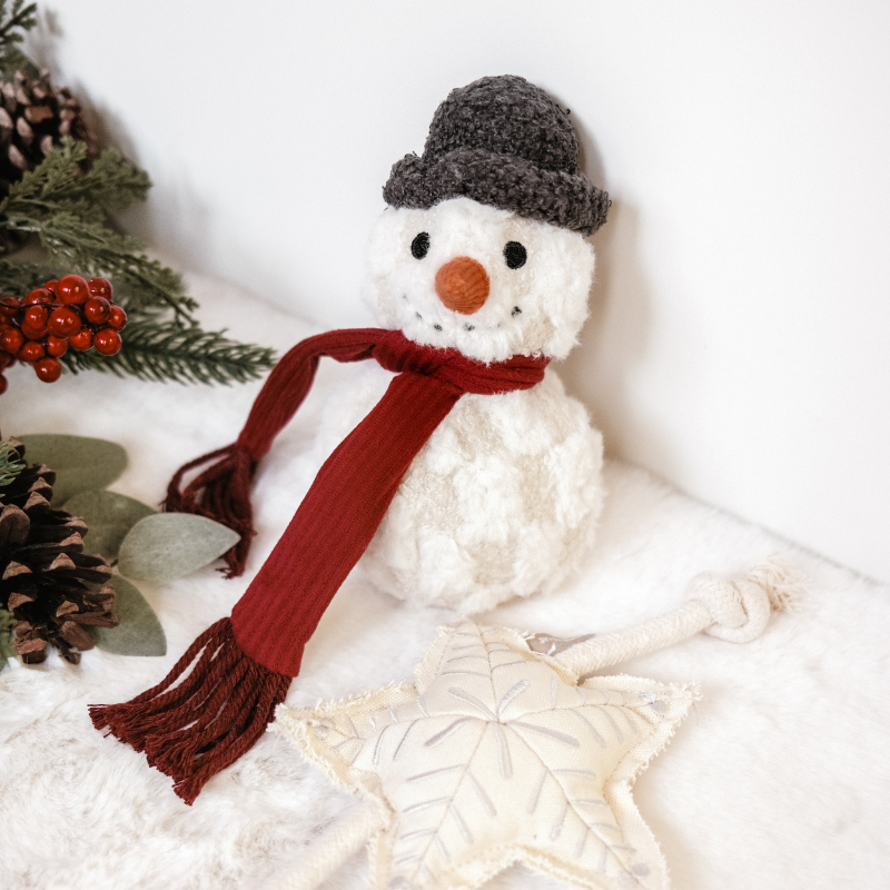 BONHOMME DE NEIGE