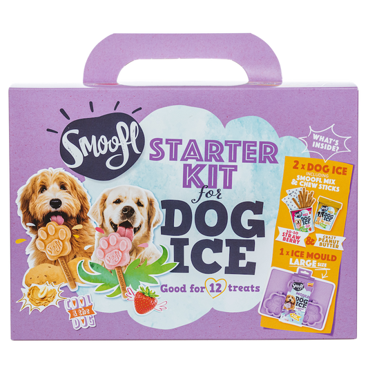 Kit de démarrage grand format pour glace pour chien