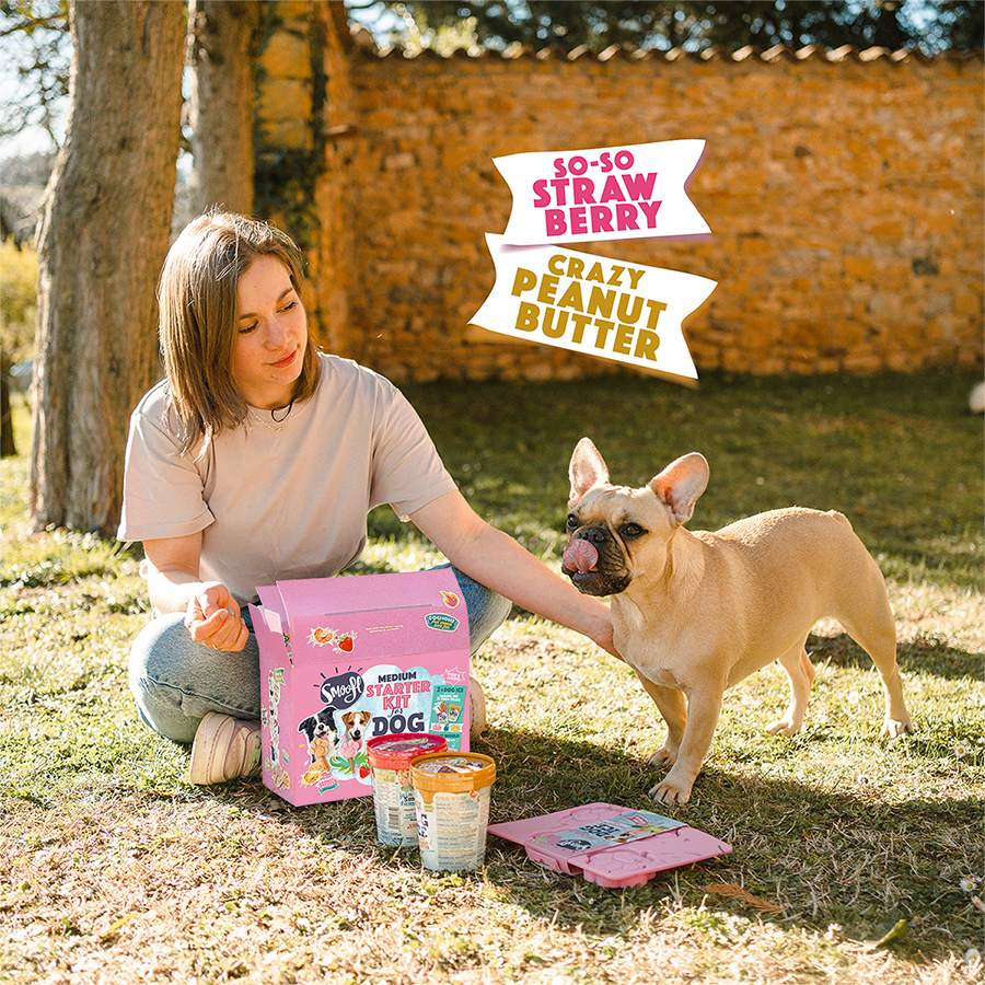 Kit de démarrage moyen pour glace à chien