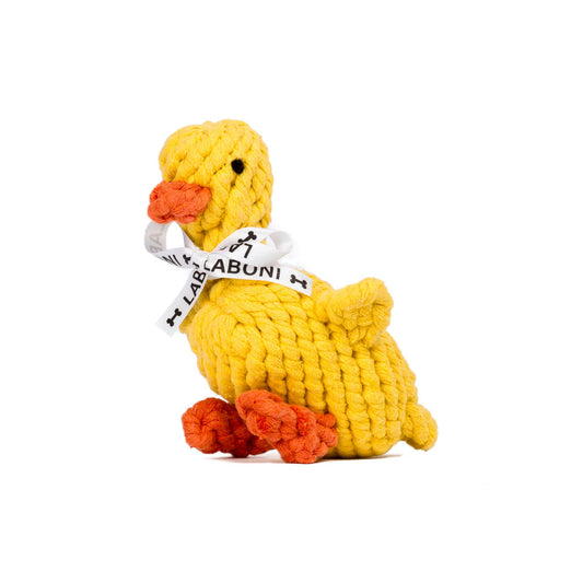 Canard en corde