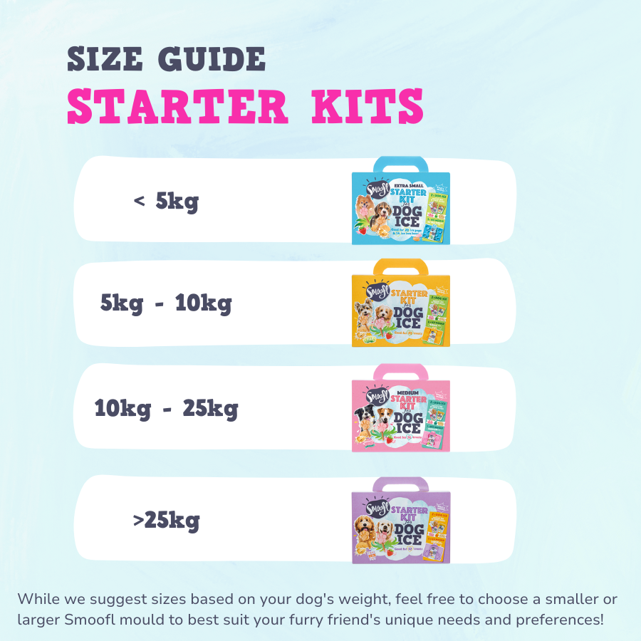 Kit de démarrage grand format pour glace pour chien
