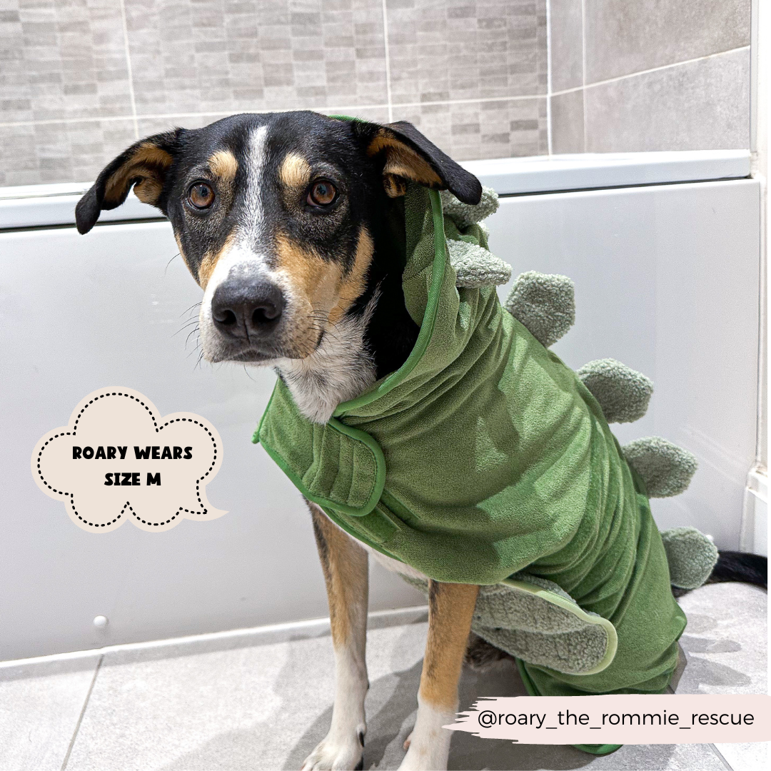 Peignoir de séchage Dinopup
