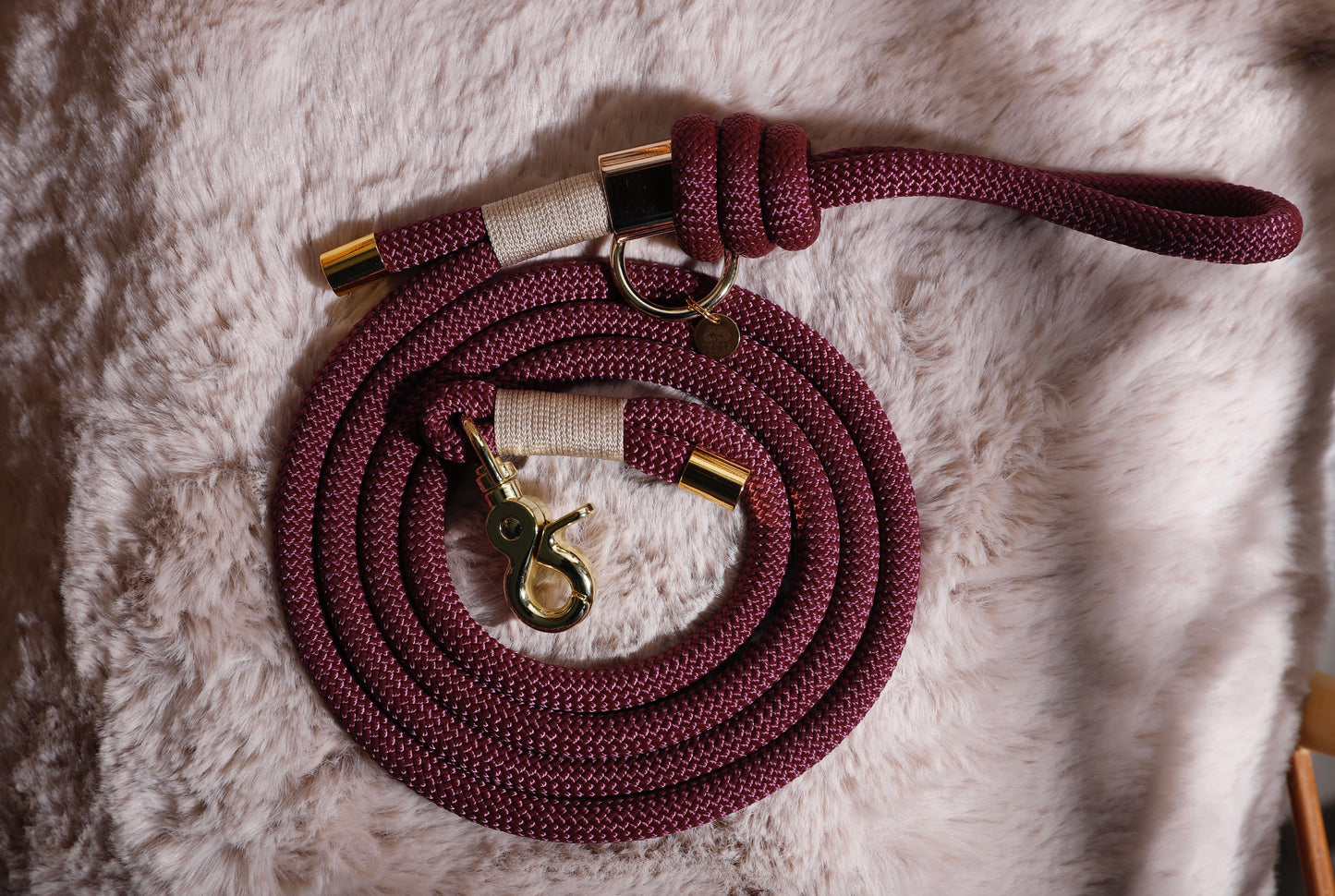 Laisse Aubergine