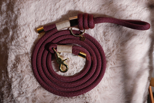Laisse Aubergine