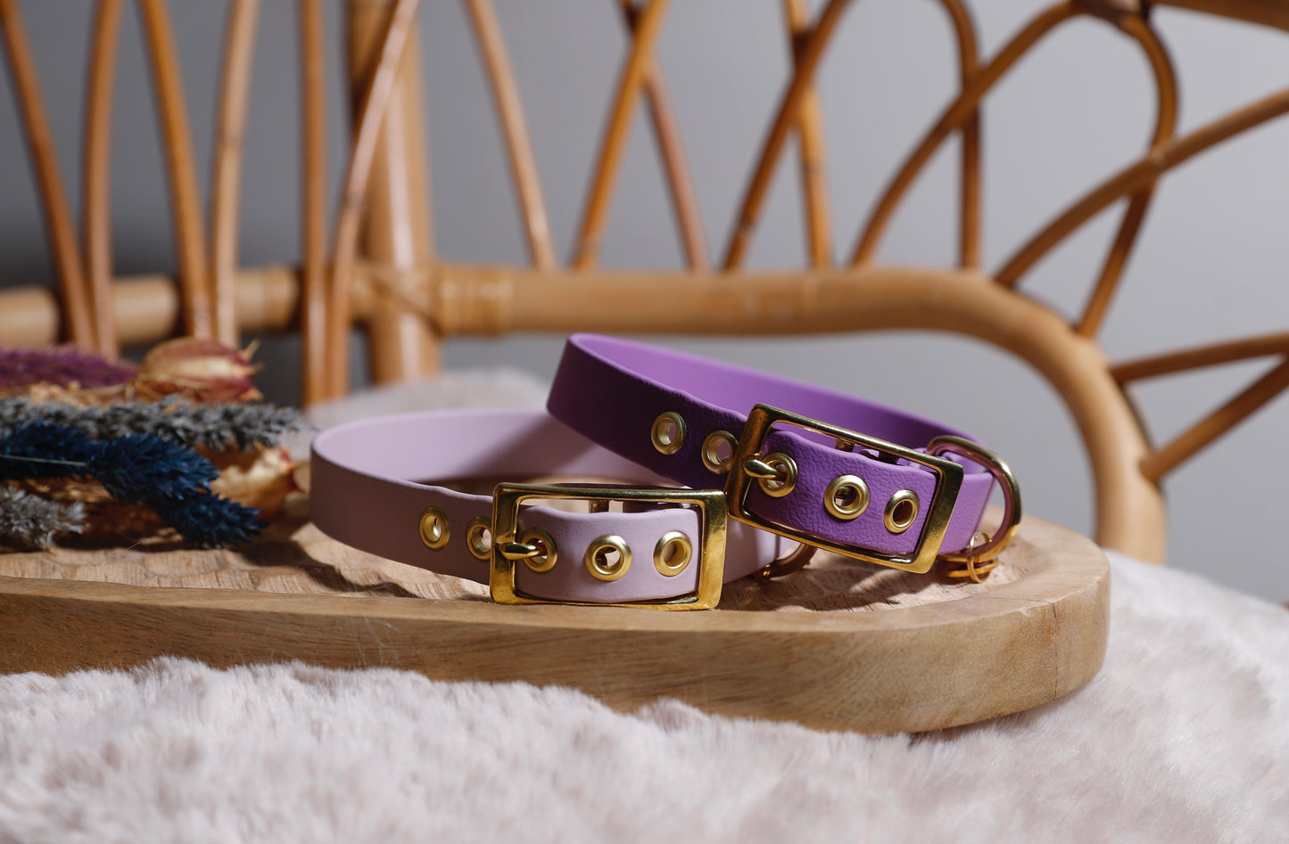 Collier Biothane - Différents coloris