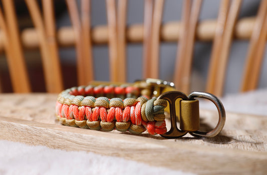 Collier biothane-paracorde