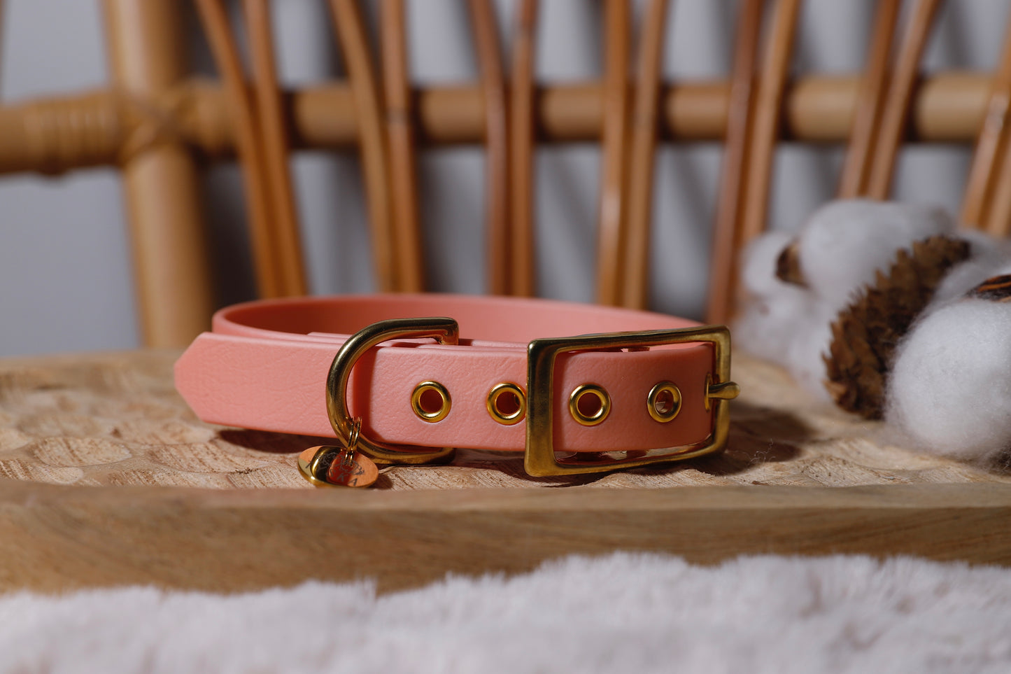 Collier Biothane - Différents coloris