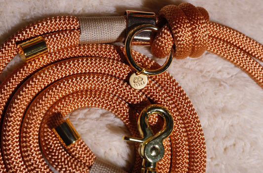 Laisse orange cuivre