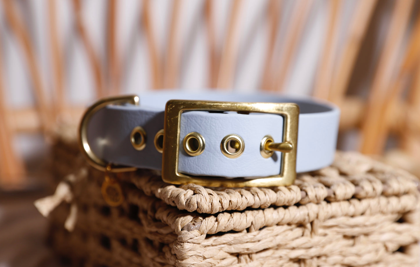 Collier Biothane - Différents coloris