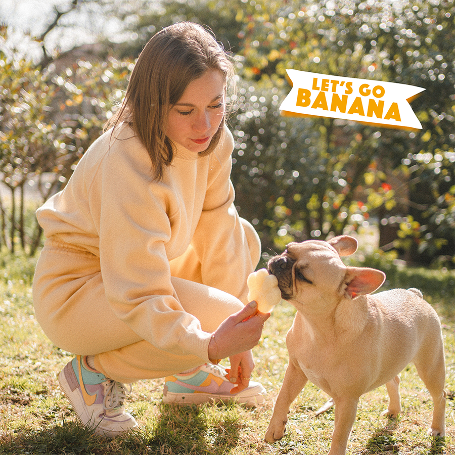 Mélange banane pour glace à chien