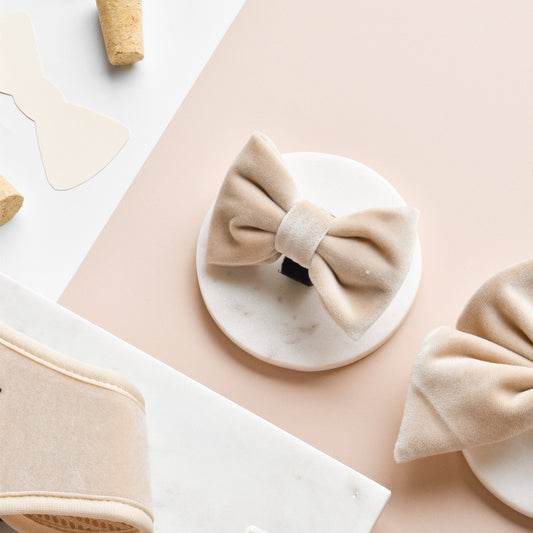 Nœud papillon en velours de luxe - Champagne