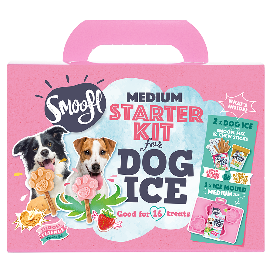 Kit de démarrage moyen pour glace à chien