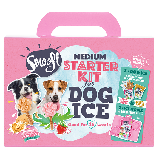 Kit de démarrage moyen pour glace à chien