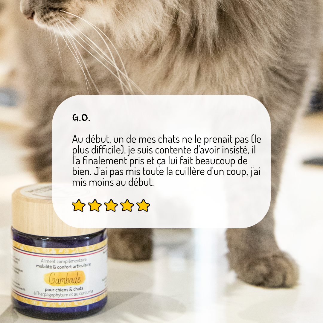 Confort articulaire – Cure courte – Complément alimentaire