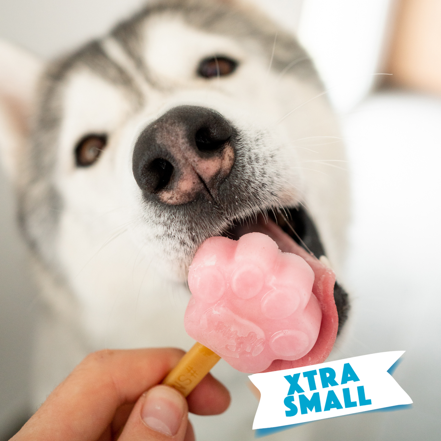 Moule en silicone extra petit pour glace de chien