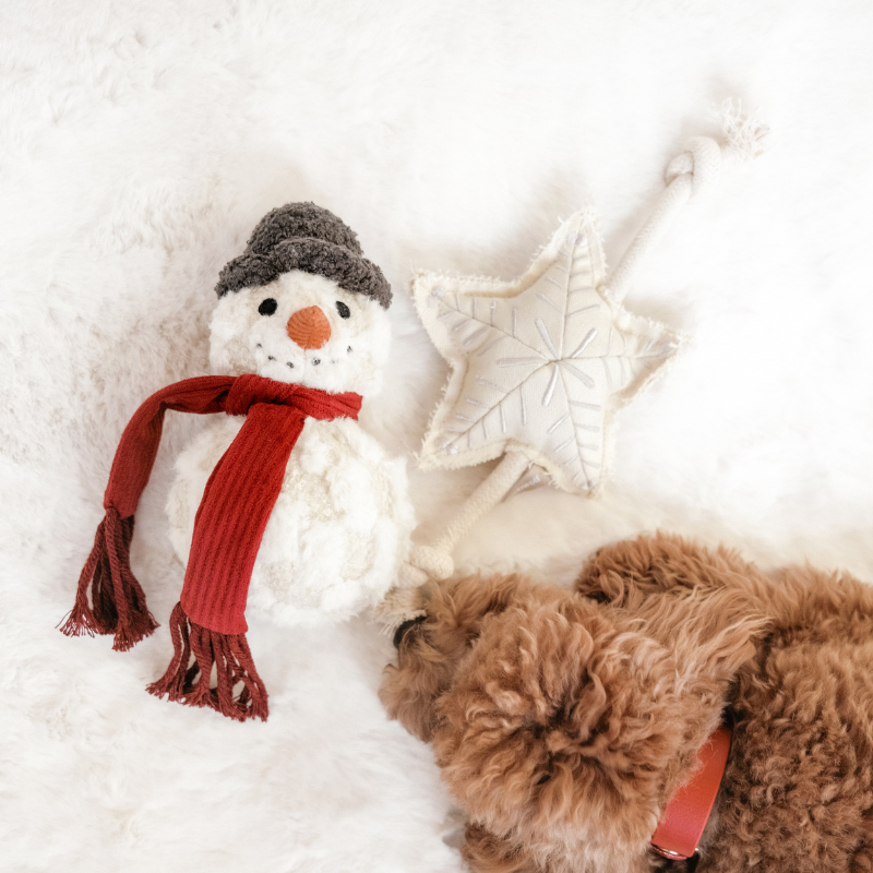 BONHOMME DE NEIGE