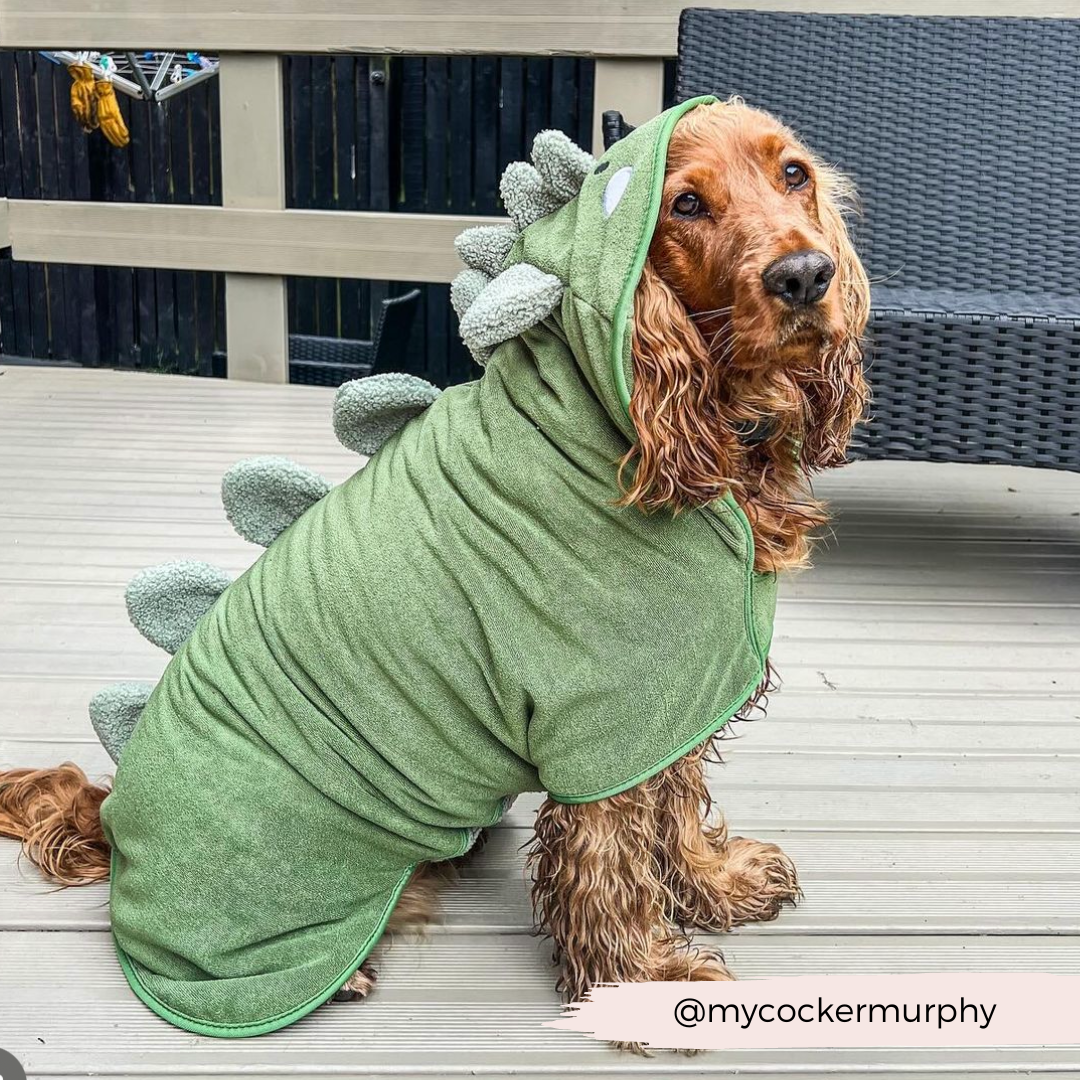 Peignoir de séchage Dinopup