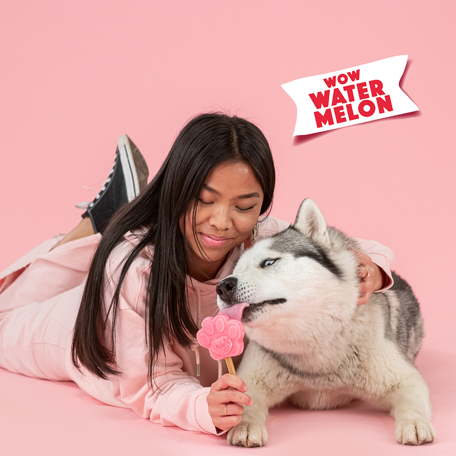 Mélange pastèque pour glace à chien