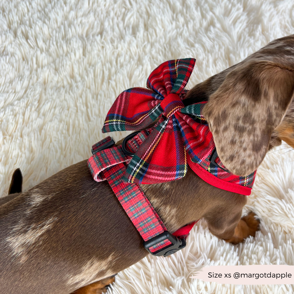 Nœud papillon Tartan Sailor