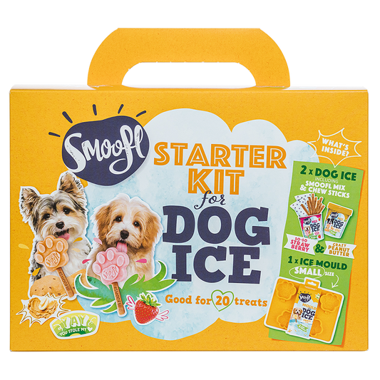 Kit de démarrage petit format pour glace pour chien