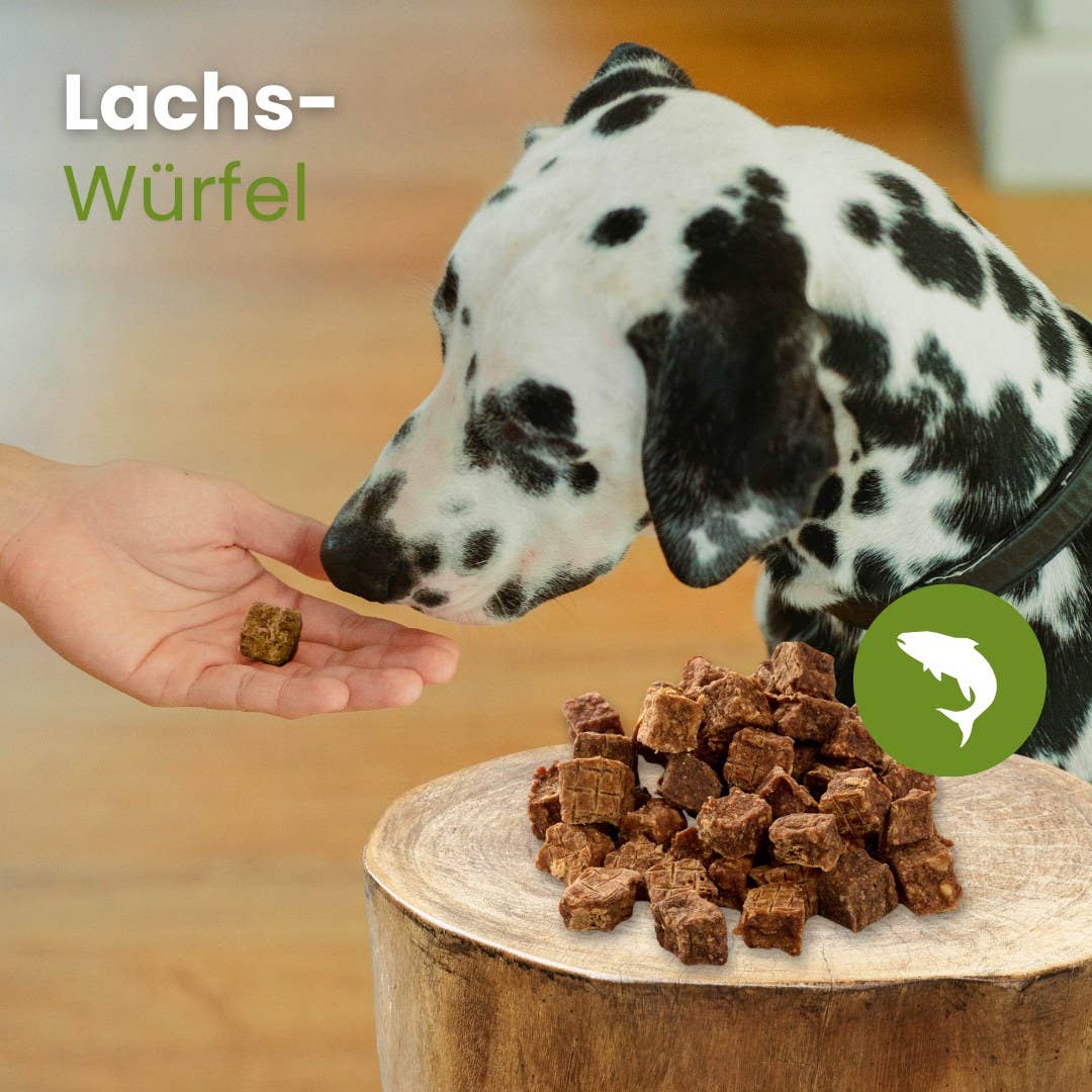 Cubes de saumon naturels pour chiens et chats