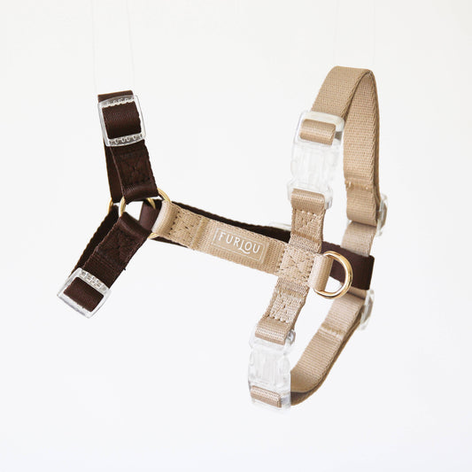 Harnais bi couleur marron beige FURLOU