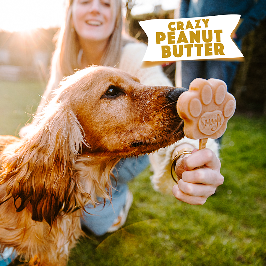 Mélange beurre de cacahuète pour glaces pour chiens