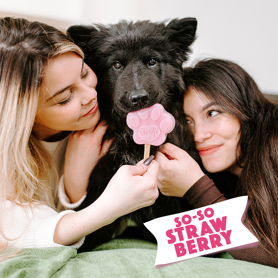 Mélange fraise pour glace à chien