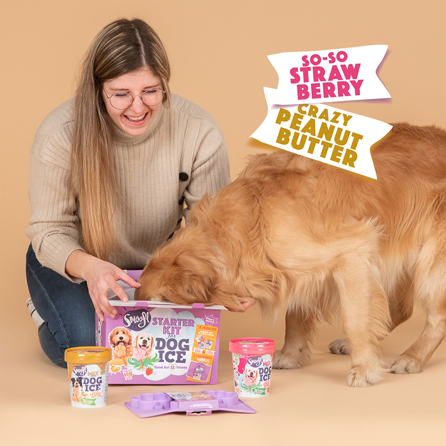 Kit de démarrage grand format pour glace pour chien
