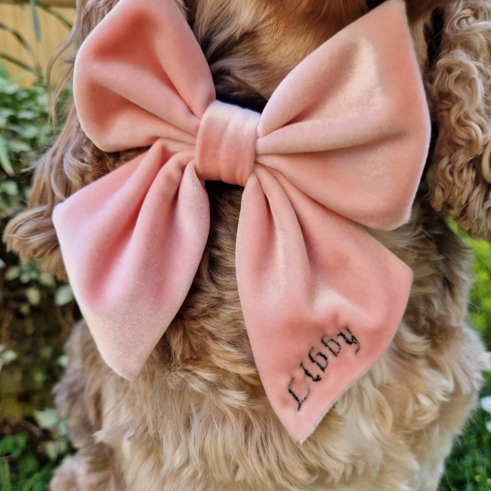 Nœud papillon marin en velours de luxe - Rose bébé