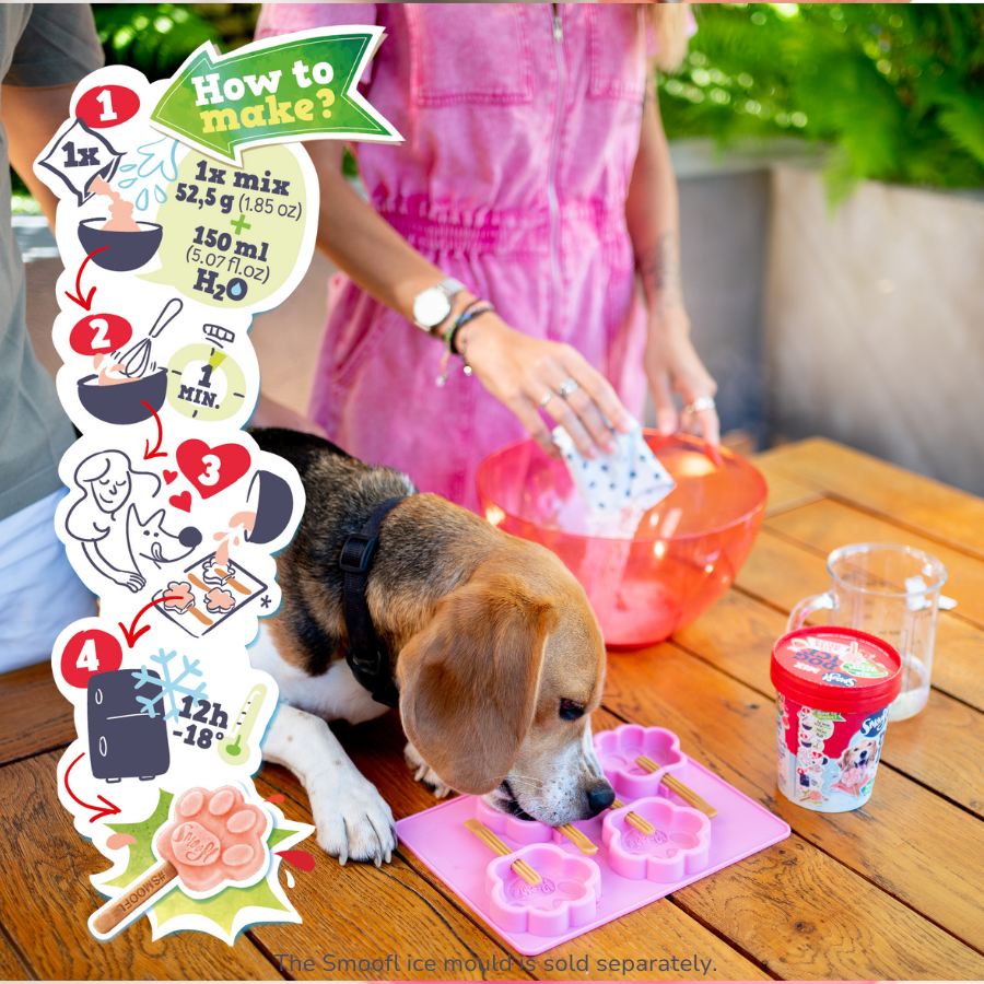 Mélange pastèque pour glace à chien