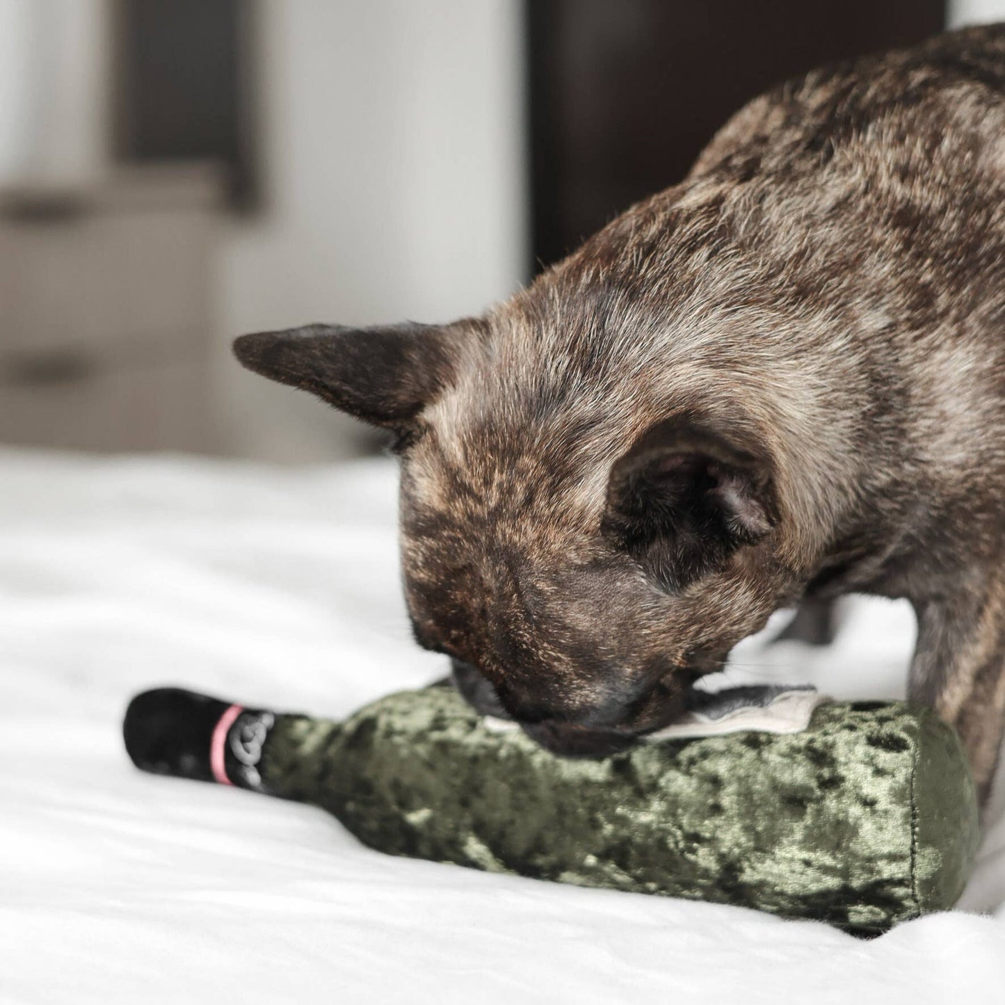 Peluche bouteille