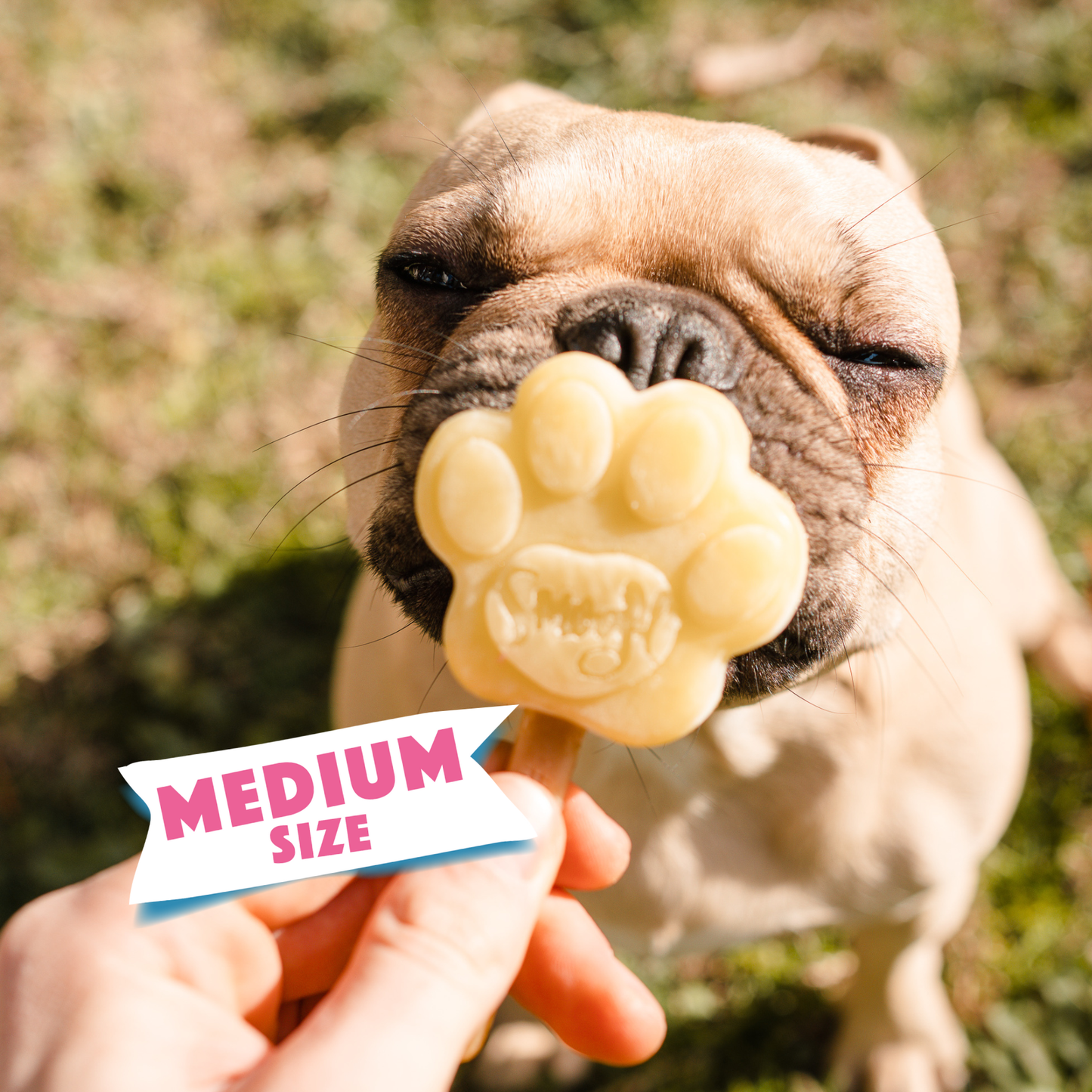 Moule moyen en silicone pour glace à chien