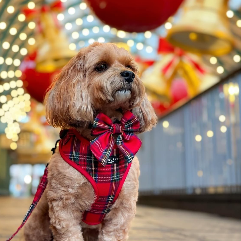 Nœud papillon Tartan Sailor